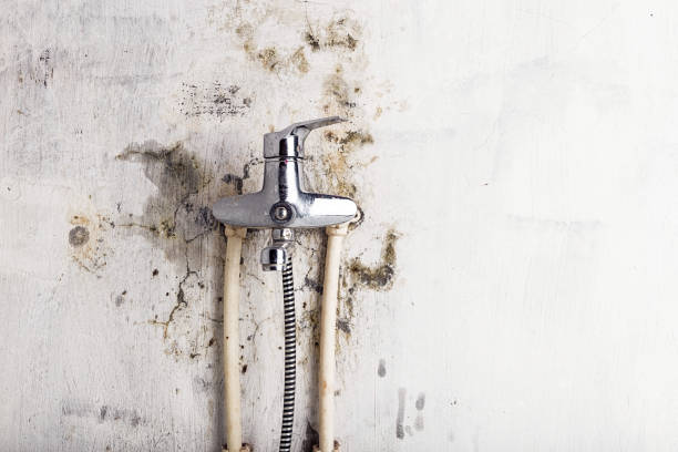 Mold Removal and Inspection in Marengo, IA