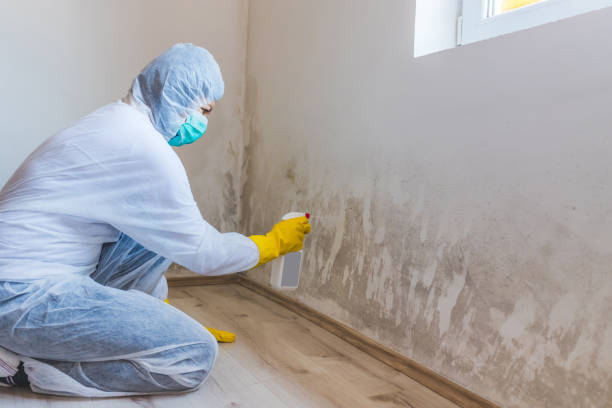 Best Attic Mold Removal  in Marengo, IA
