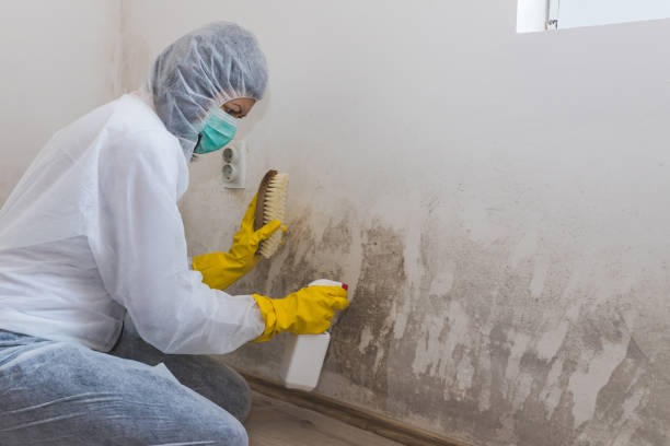 Best Mold Cleaning Services  in Marengo, IA