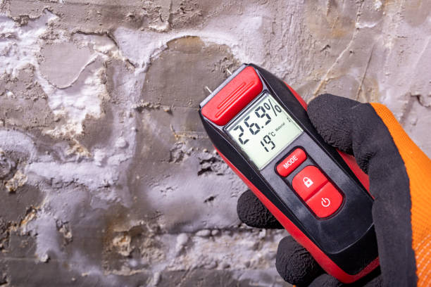 Best Residential Mold Removal  in Marengo, IA
