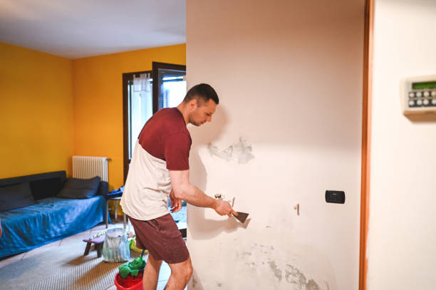 Best Home Mold Removal  in Marengo, IA