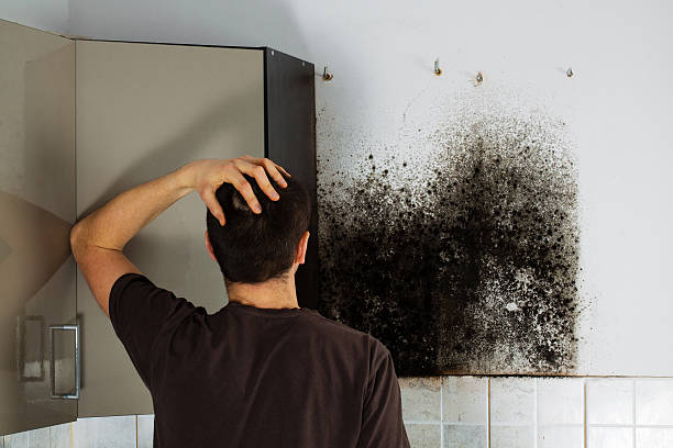 Best Mold Remediation Services  in Marengo, IA