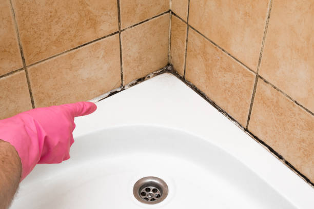 Best Crawl Space Mold Removal  in Marengo, IA